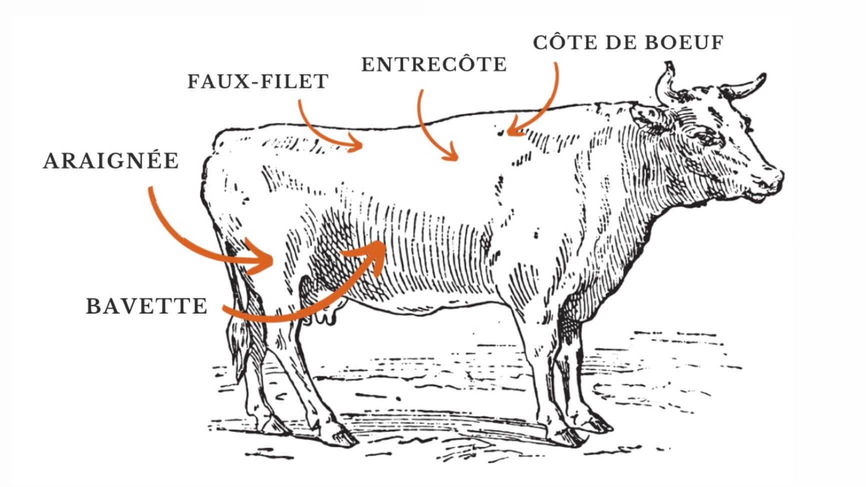 Boeuf