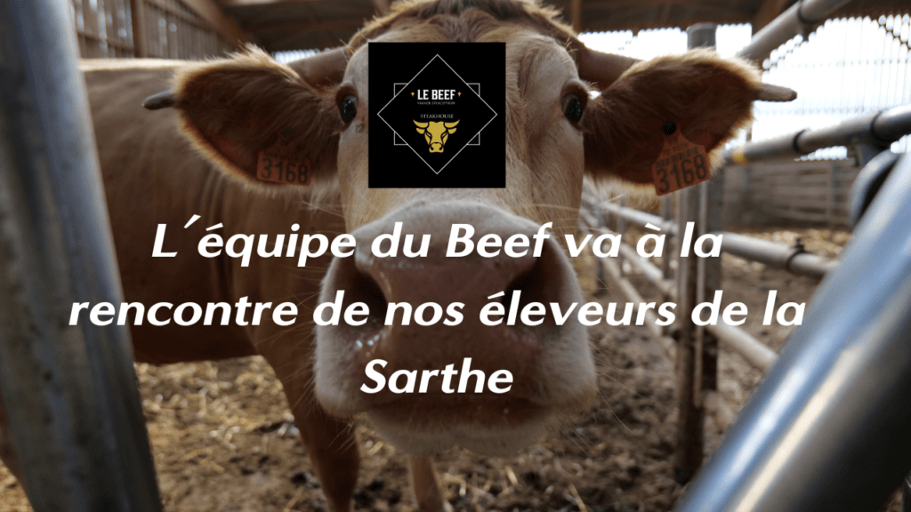 Équipe beef dans la Sarthe
