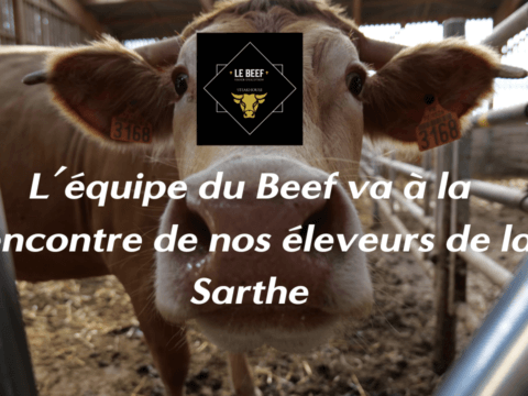Équipe beef dans la Sarthe