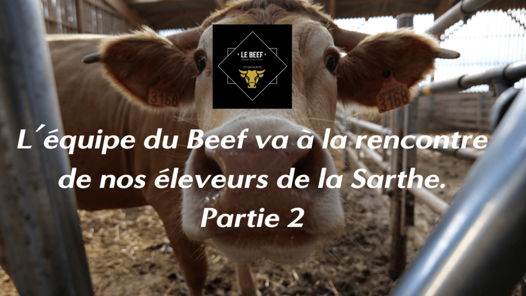 Beef Restaurant est dans la Sarthe partie 2