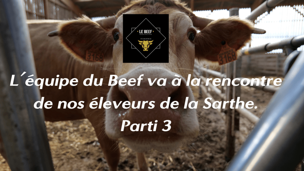 Beef Restaurant est dans la Sarthe partie 3